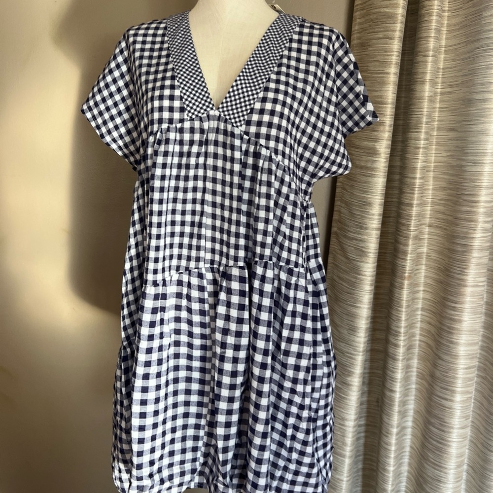 Anthropologie Navy and White Gingham Dress